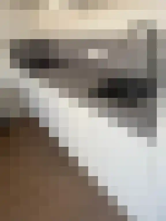 Rijksweg Noord 4 Sittard thumbnail 6