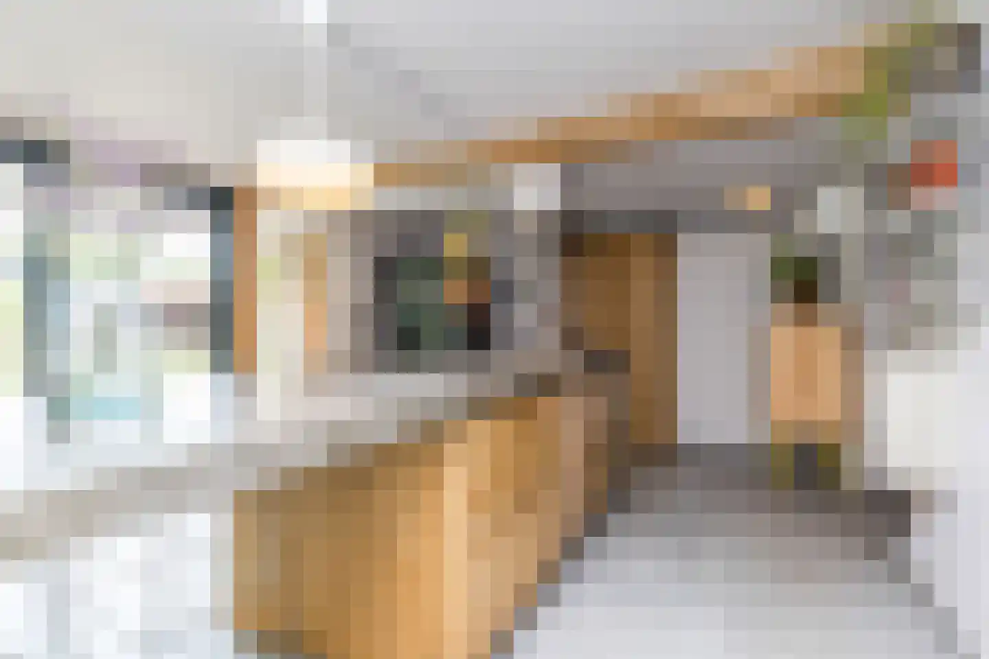 Rijksweg Noord 48 Geleen thumbnail 15
