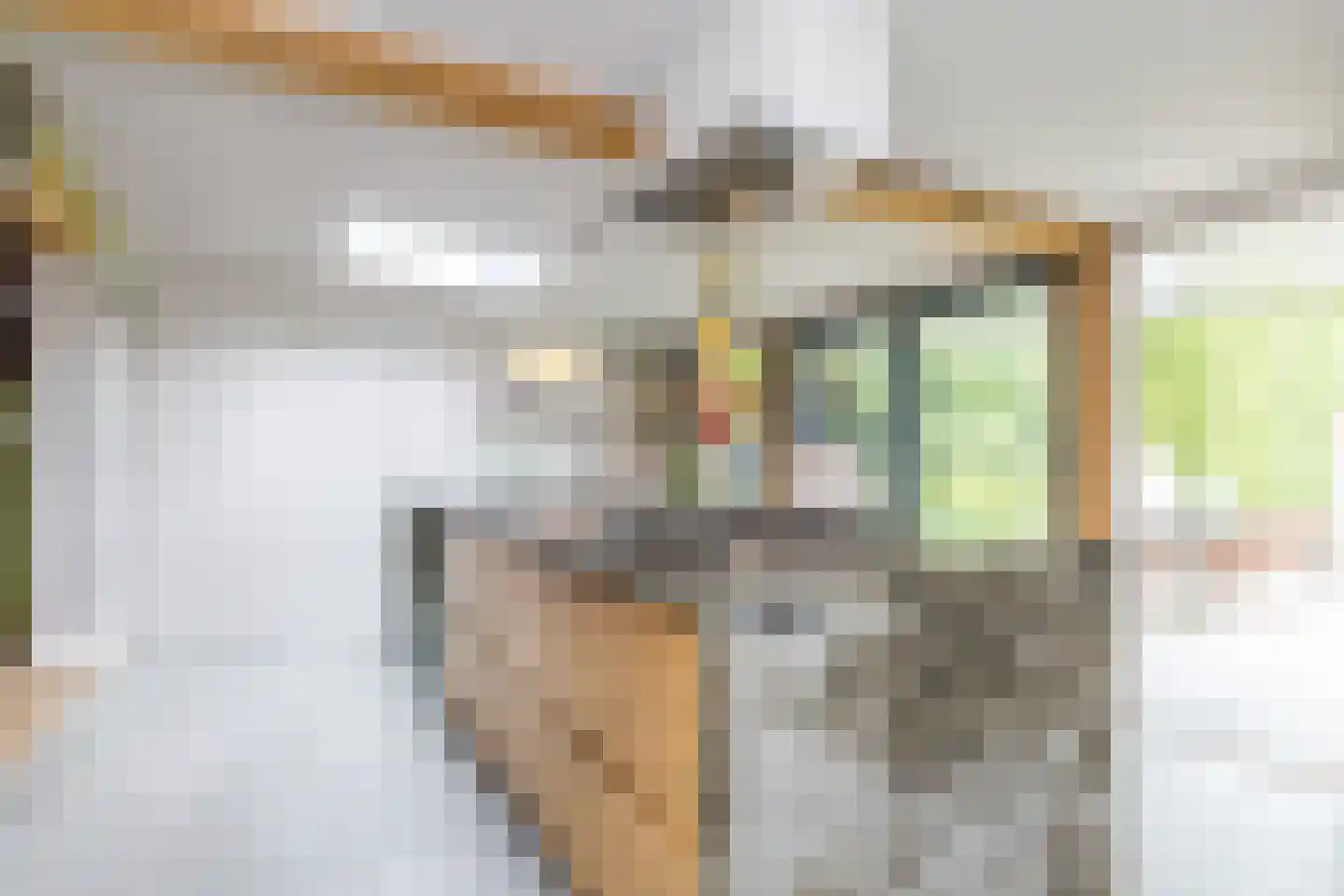 Rijksweg Noord 48 Geleen thumbnail 18