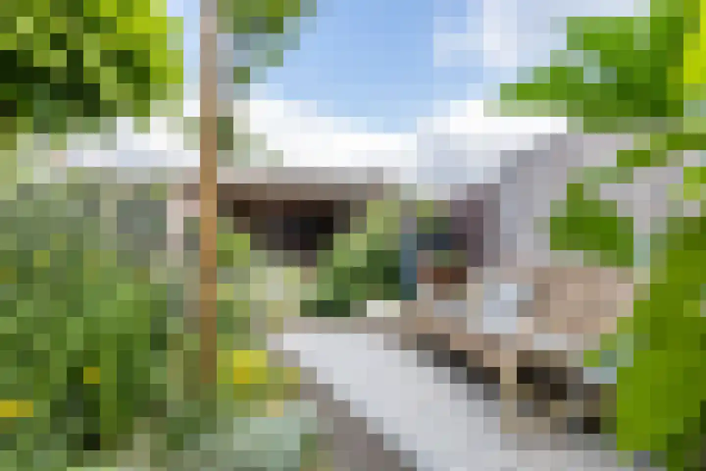 Rijksweg Noord 48 Geleen thumbnail 4