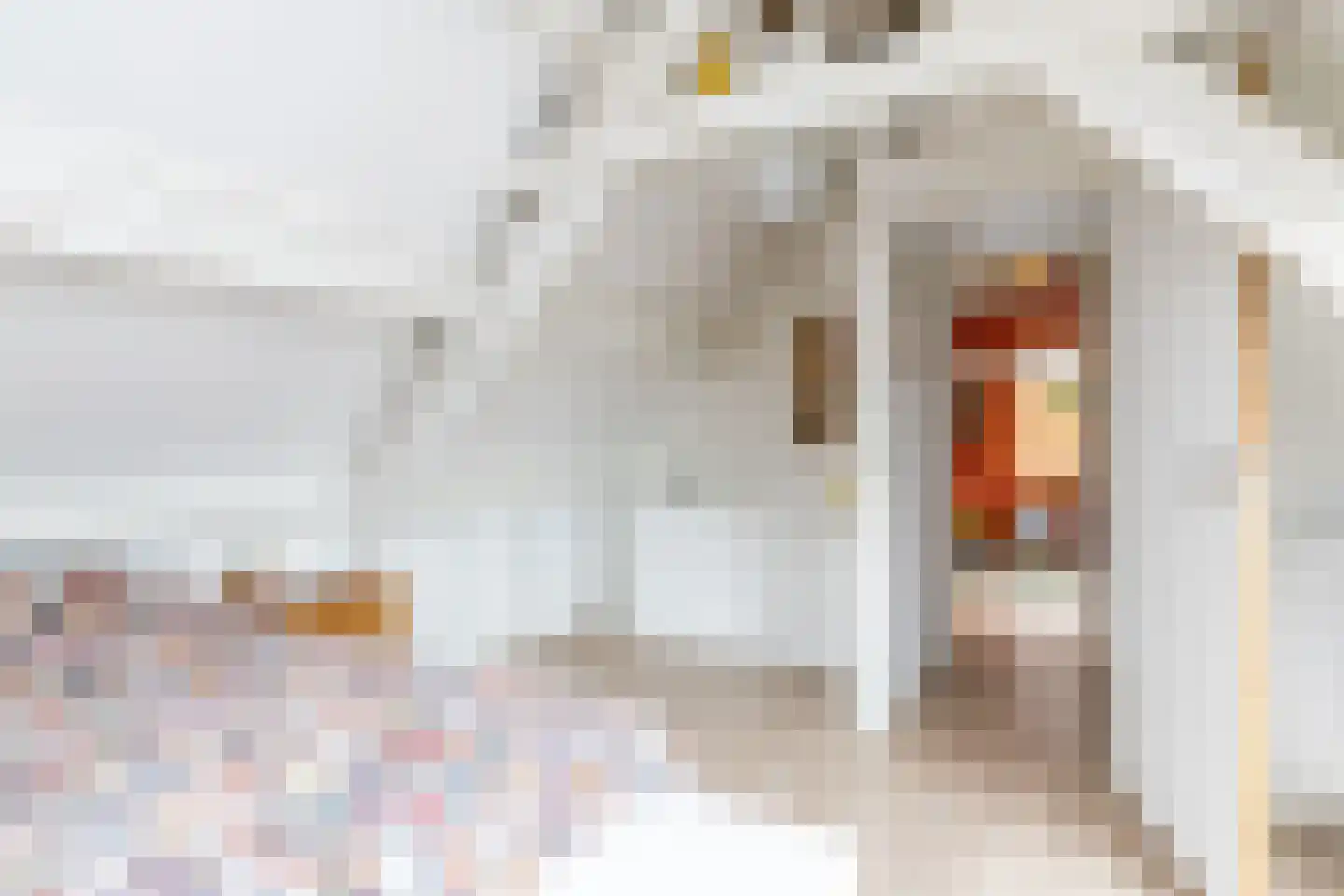 Rijksweg Noord 48 Geleen thumbnail 43