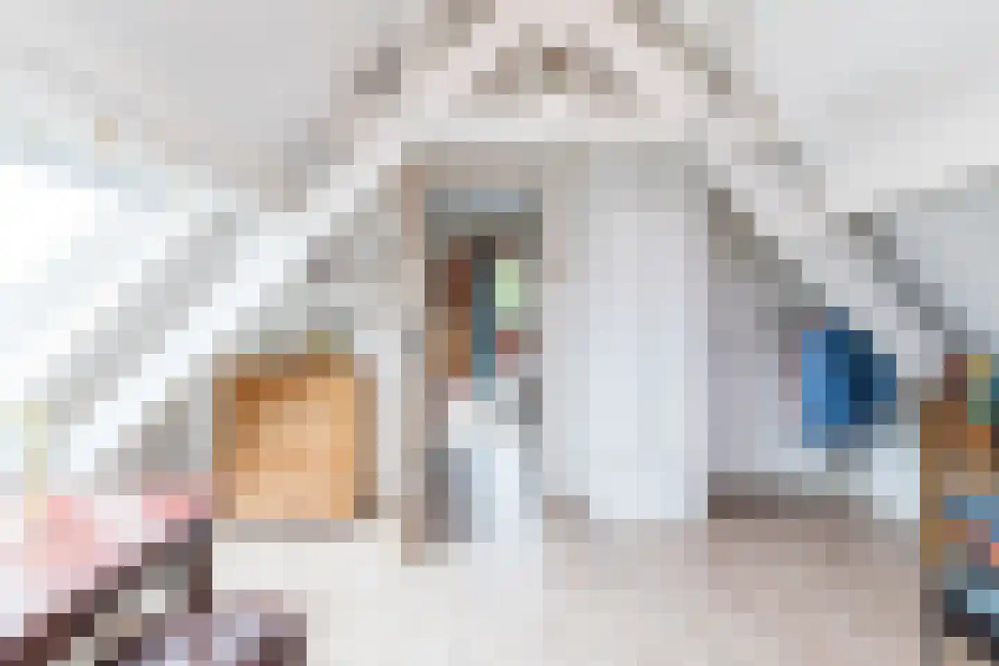 Rijksweg Noord 48 Geleen thumbnail 45