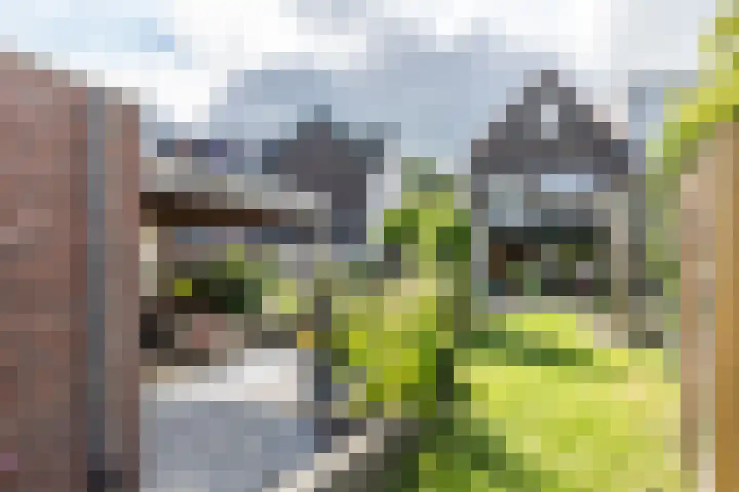 Rijksweg Noord 48 Geleen thumbnail 47