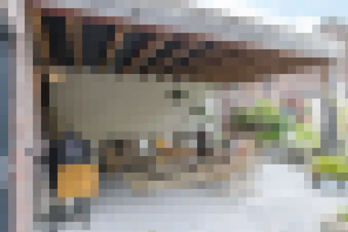 Rijksweg Noord 48 Geleen thumbnail 52
