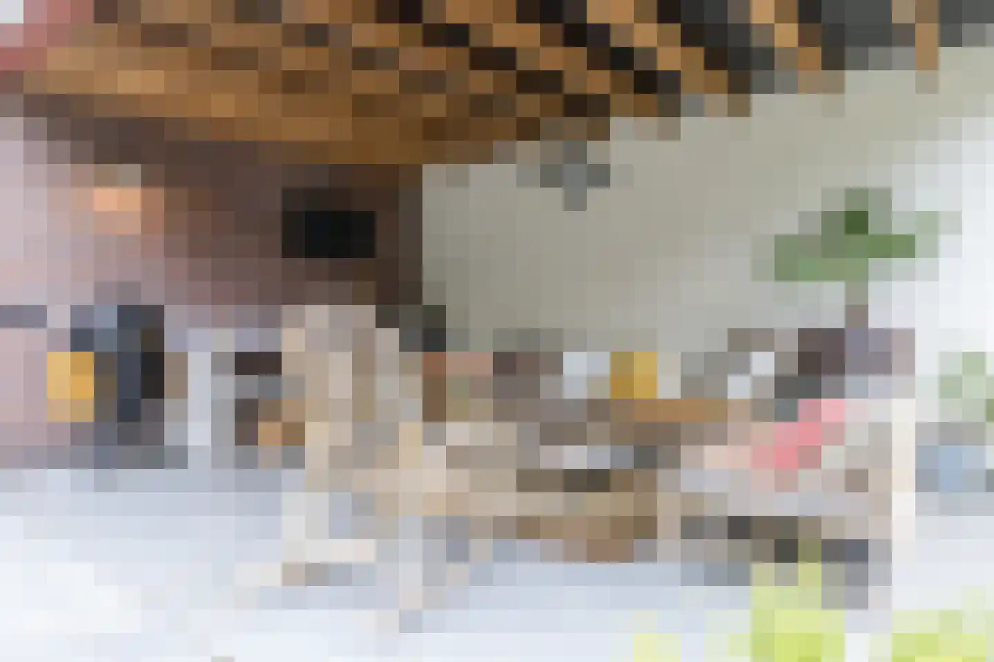 Rijksweg Noord 48 Geleen thumbnail 53
