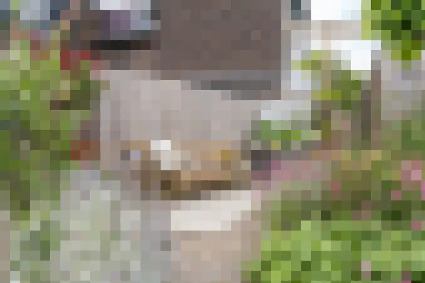 Rijksweg Noord 48 Geleen thumbnail 54