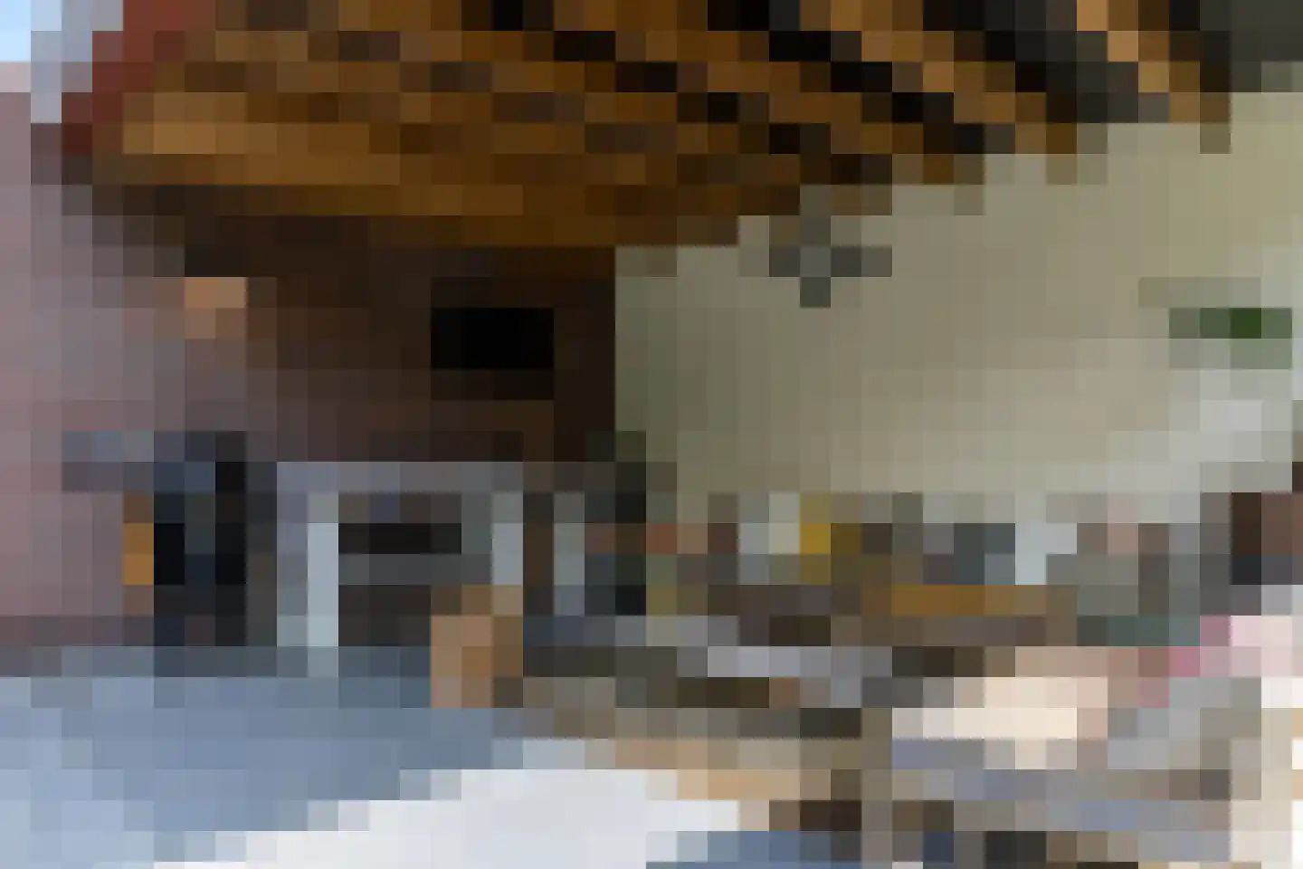 Rijksweg Noord 48 Geleen thumbnail 58