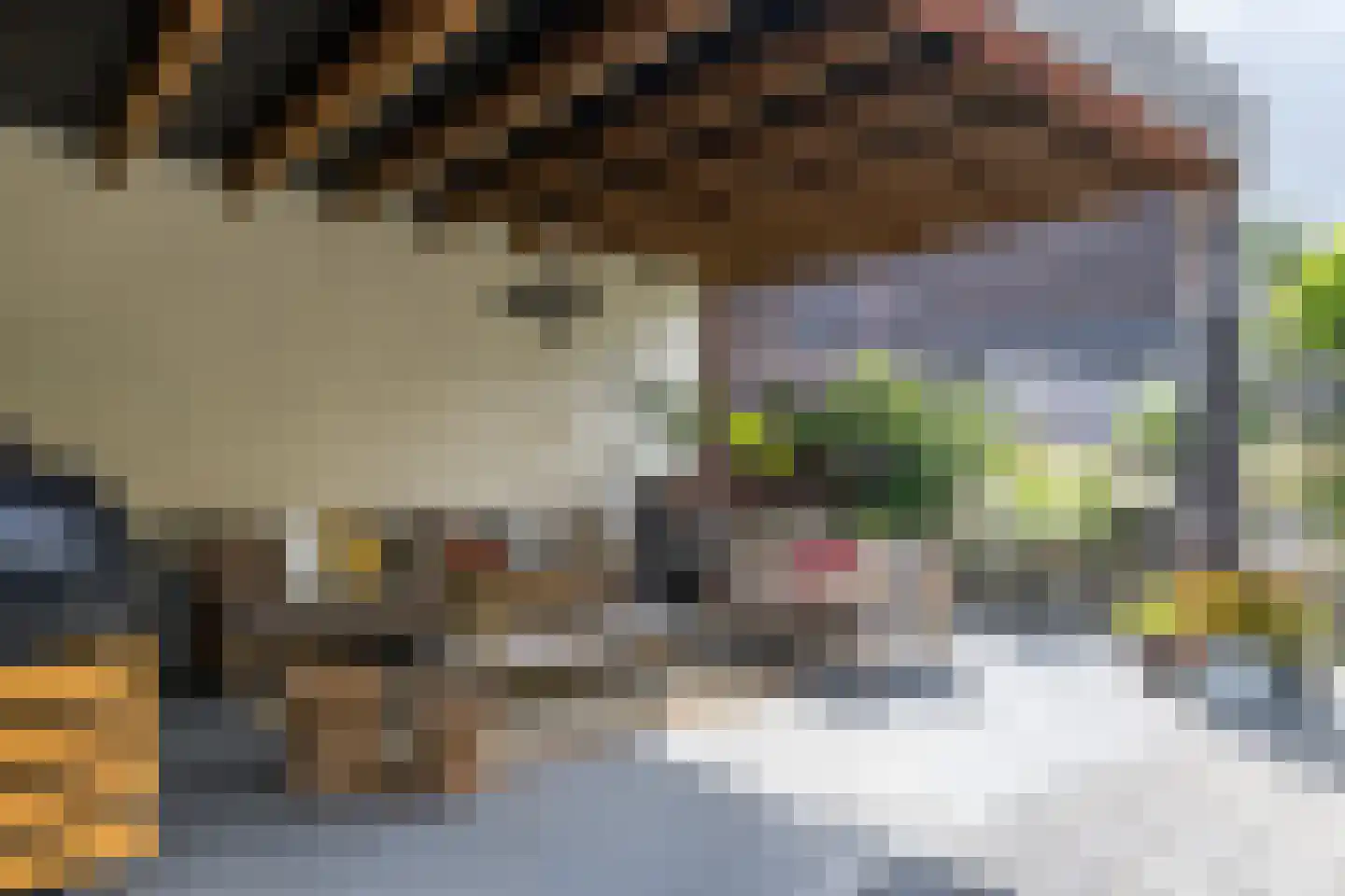 Rijksweg Noord 48 Geleen thumbnail 60