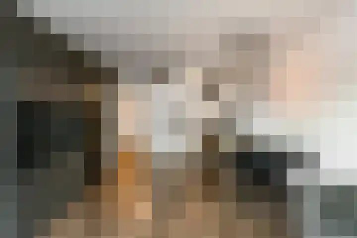 Rijksweg-Noord 5 1eV Elst thumbnail 10