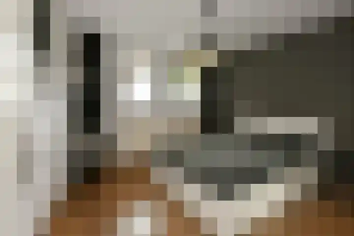 Rijksweg-Noord 5 1eV Elst thumbnail 16