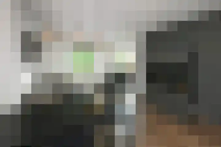 Rijksweg-Noord 5 1eV Elst thumbnail 4