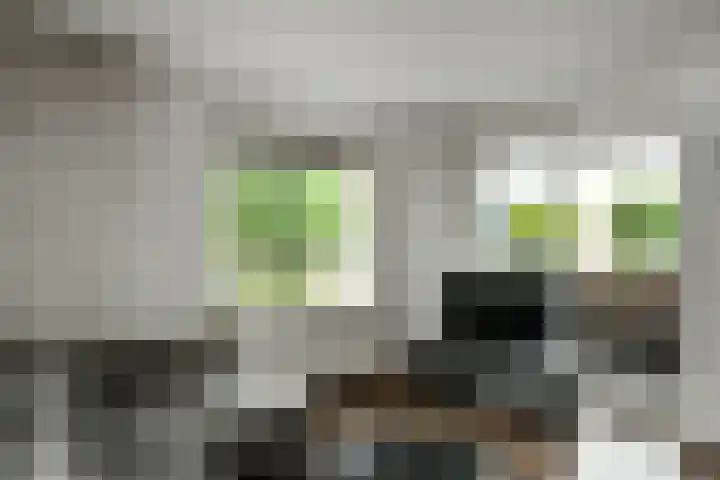 Rijksweg-Noord 5 1eV Elst thumbnail 6
