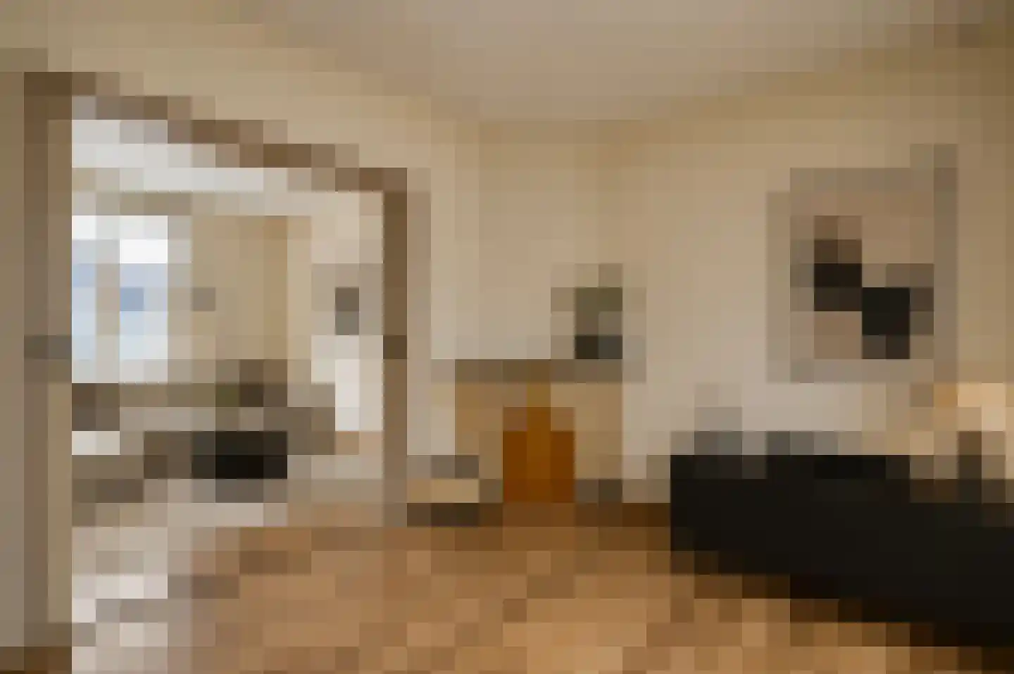 Rijksweg Noord 51 Swalmen thumbnail 10