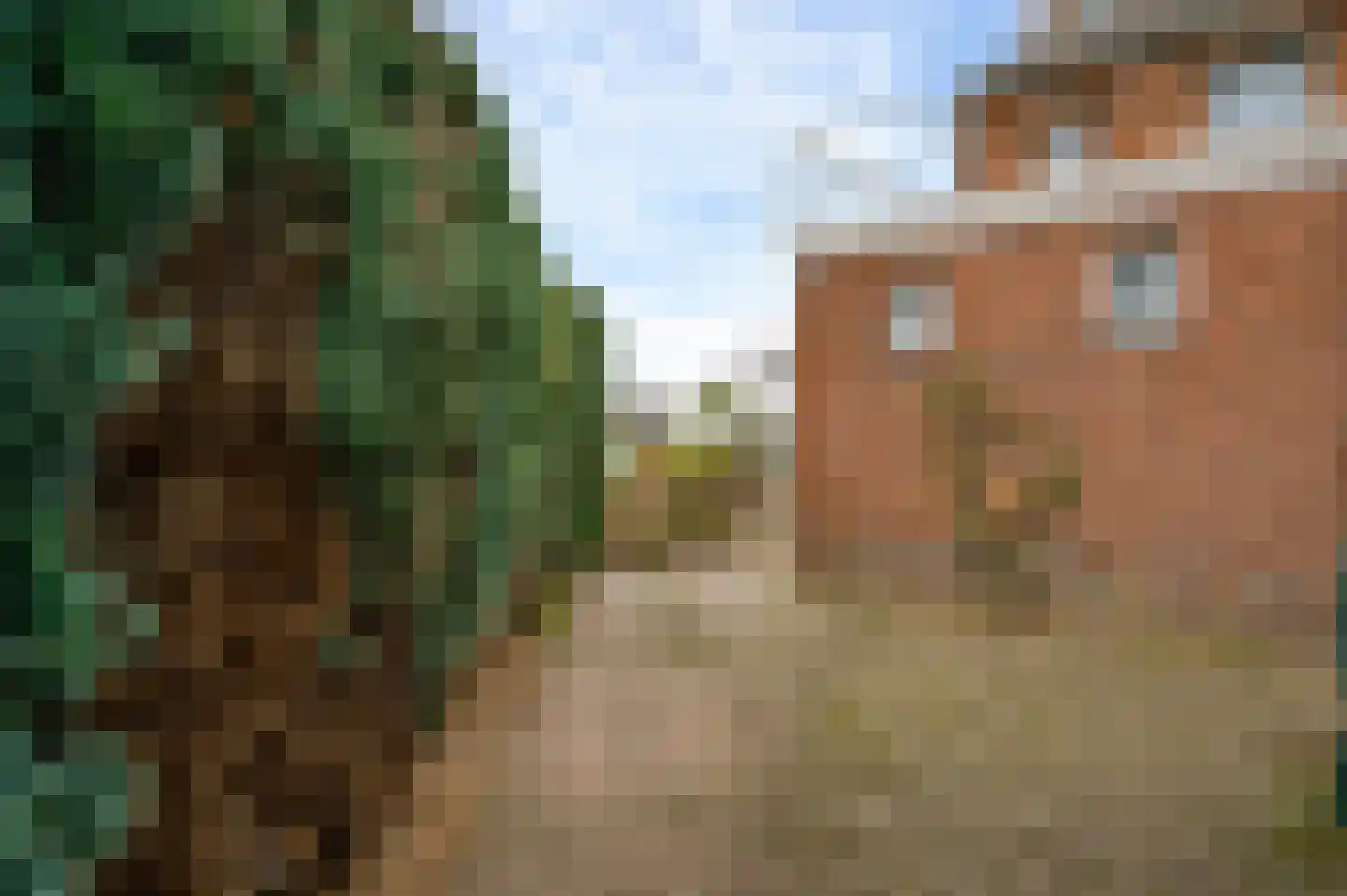 Rijksweg Noord 51 Swalmen thumbnail 28