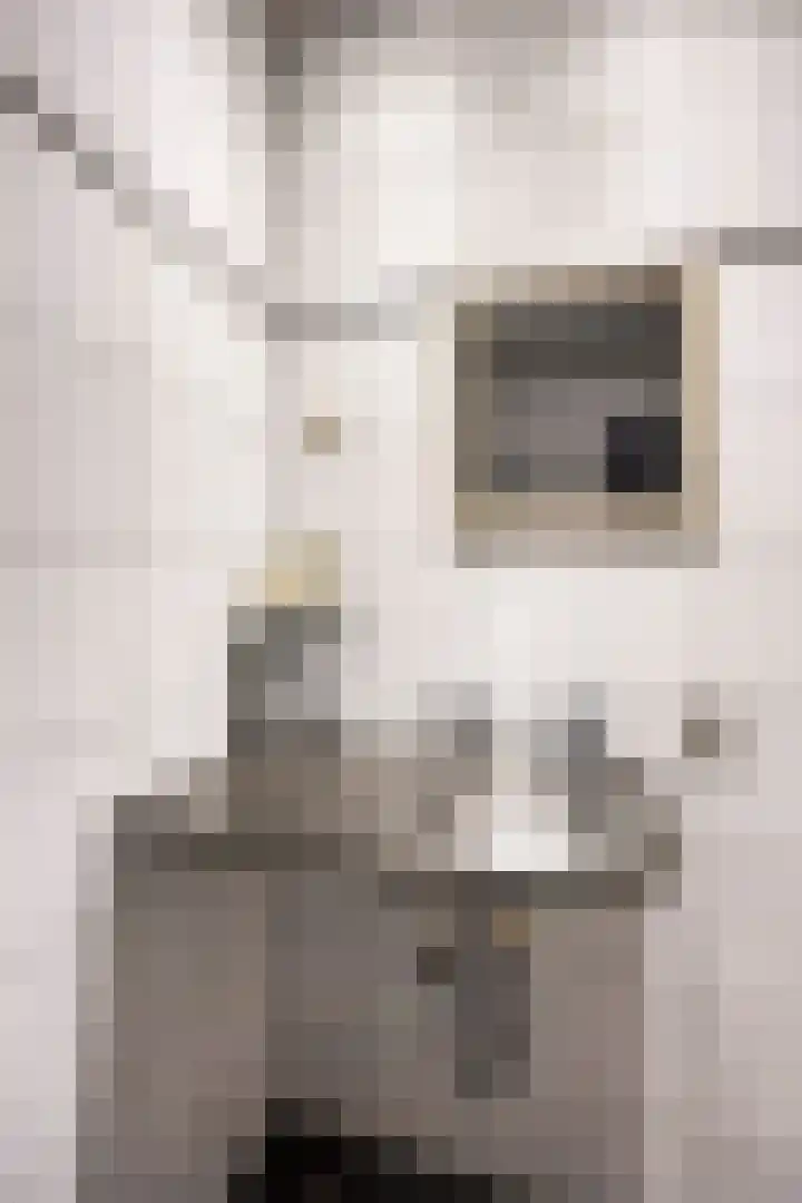 Rijksweg Noord 52 Swalmen thumbnail 21