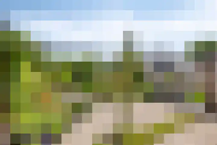Rijksweg Noord 52 Swalmen thumbnail 27