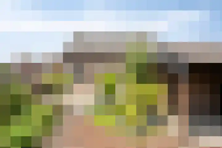 Rijksweg Noord 52 Swalmen thumbnail 31