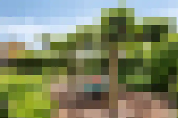 Rijksweg Noord 52 Swalmen thumbnail 4