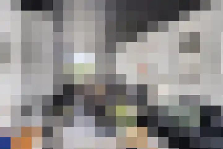 Rijksweg Noord 52 Swalmen thumbnail 8