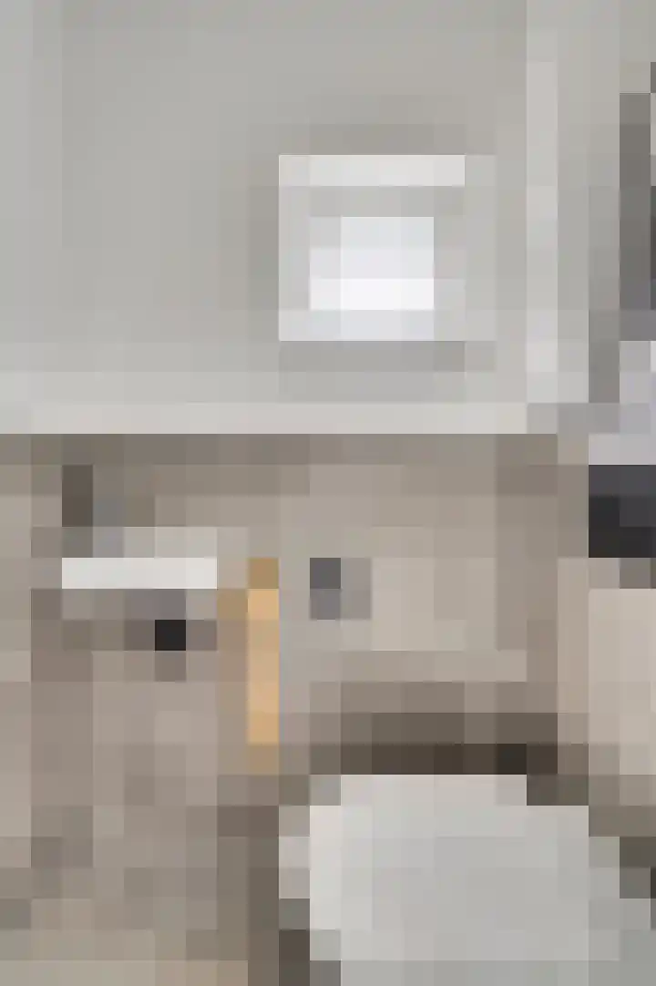 Rijksweg Noord 55 Swalmen thumbnail 10
