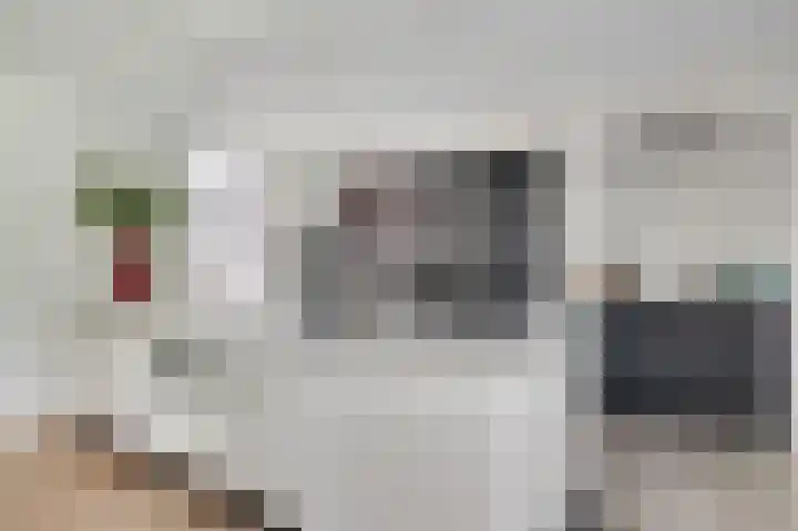 Rijksweg Noord 55 Swalmen thumbnail 17