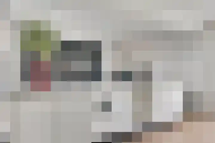 Rijksweg Noord 55 Swalmen thumbnail 18