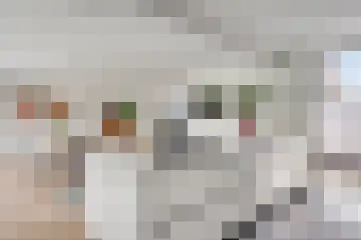 Rijksweg Noord 55 Swalmen thumbnail 19