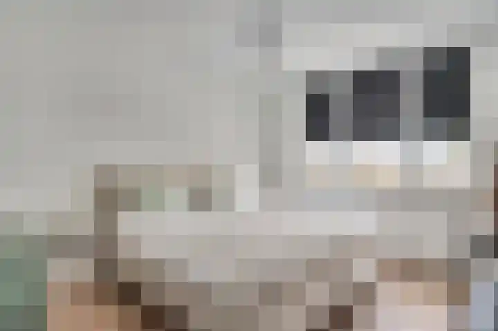 Rijksweg Noord 55 Swalmen thumbnail 28