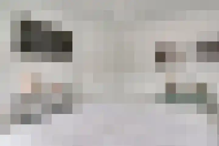 Rijksweg Noord 55 Swalmen thumbnail 29