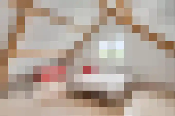 Rijksweg Noord 55 Swalmen thumbnail 33