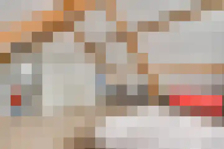 Rijksweg Noord 55 Swalmen thumbnail 34