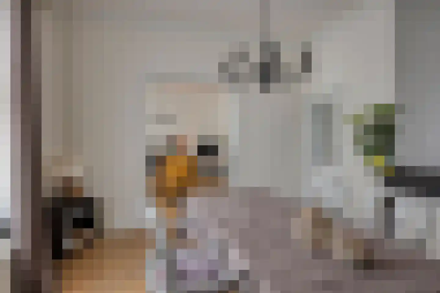 Rijksweg Noord 60 Sittard thumbnail 16