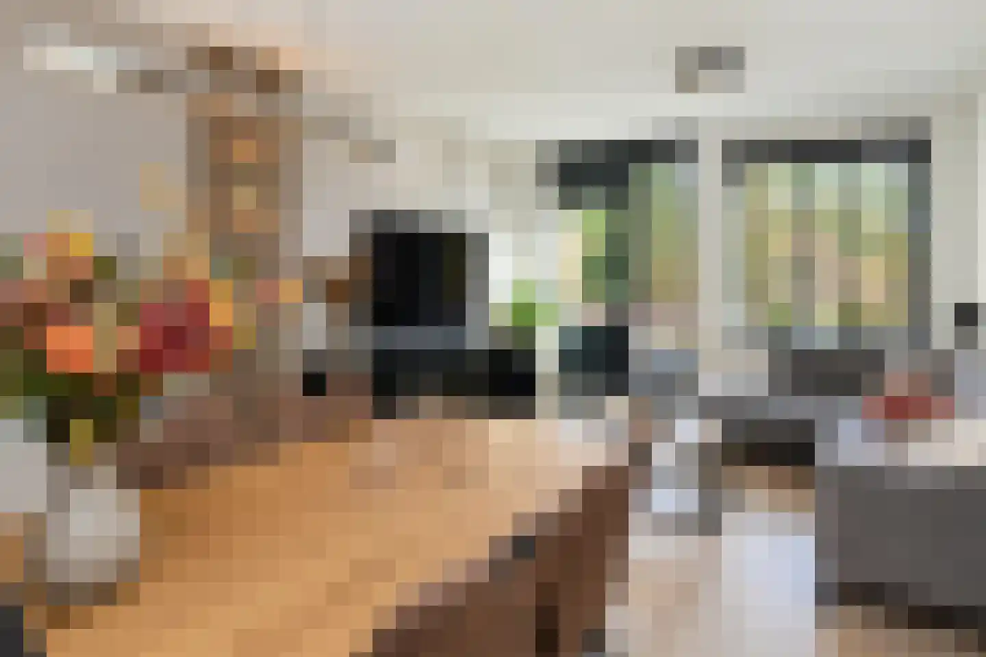 Rijksweg-Noord 7 2eV Elst thumbnail 11