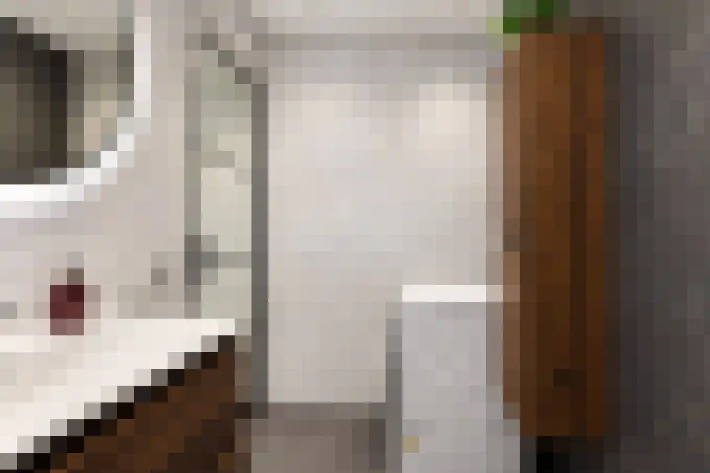 Rijksweg-Noord 7 2eV Elst thumbnail 27