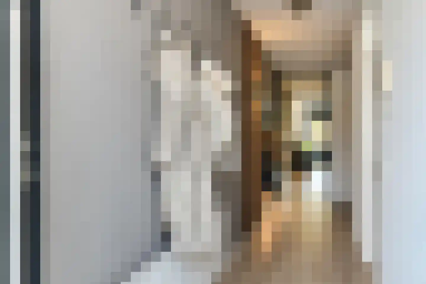 Rijksweg-Noord 7 2eV Elst thumbnail 8