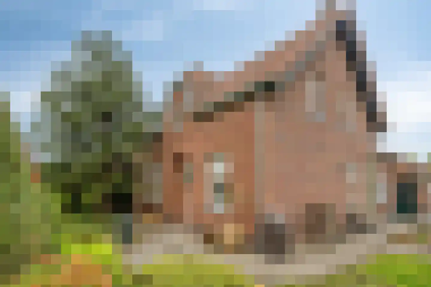 Rijksweg Noord 7 in Echt