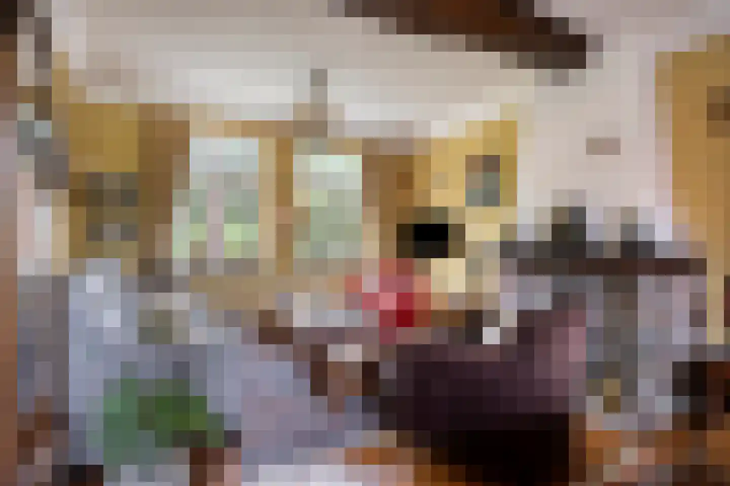 Rijksweg Noord 7 Echt thumbnail 16