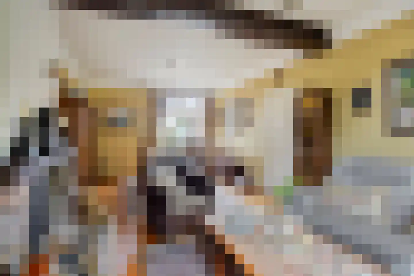 Rijksweg Noord 7 Echt thumbnail 17