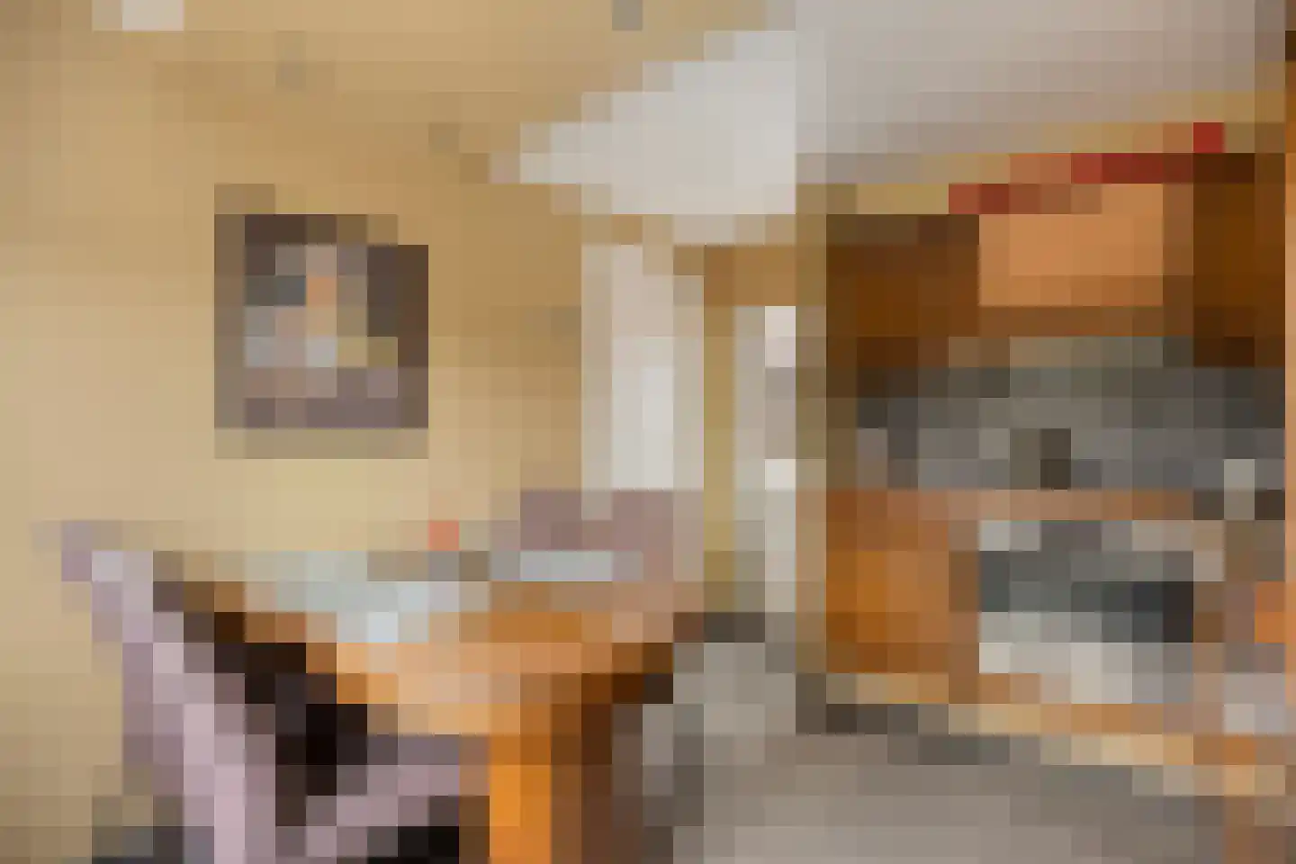 Rijksweg Noord 7 Echt thumbnail 26