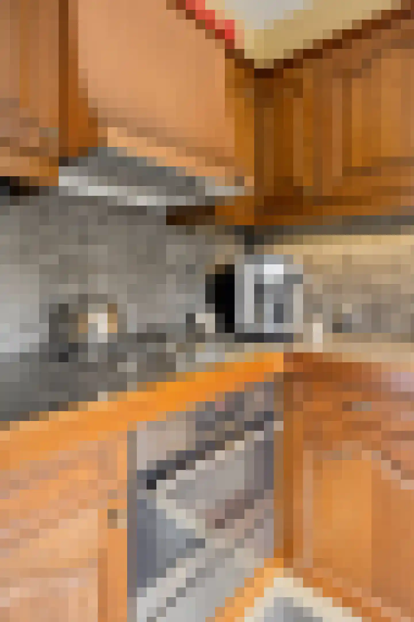 Rijksweg Noord 7 Echt thumbnail 28