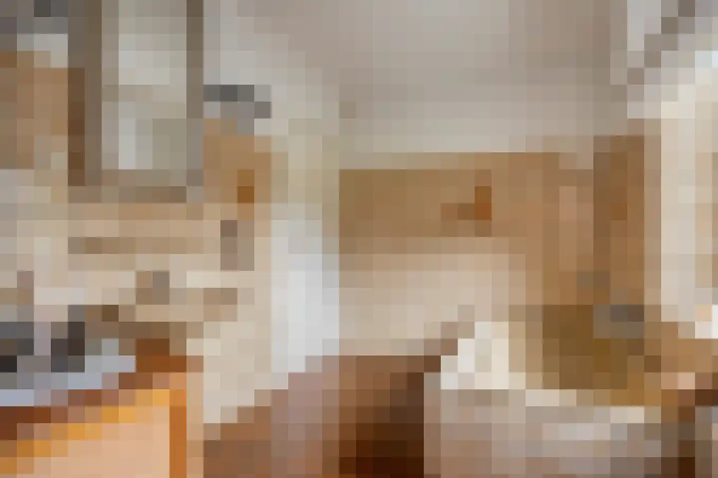 Rijksweg Noord 7 Echt thumbnail 33