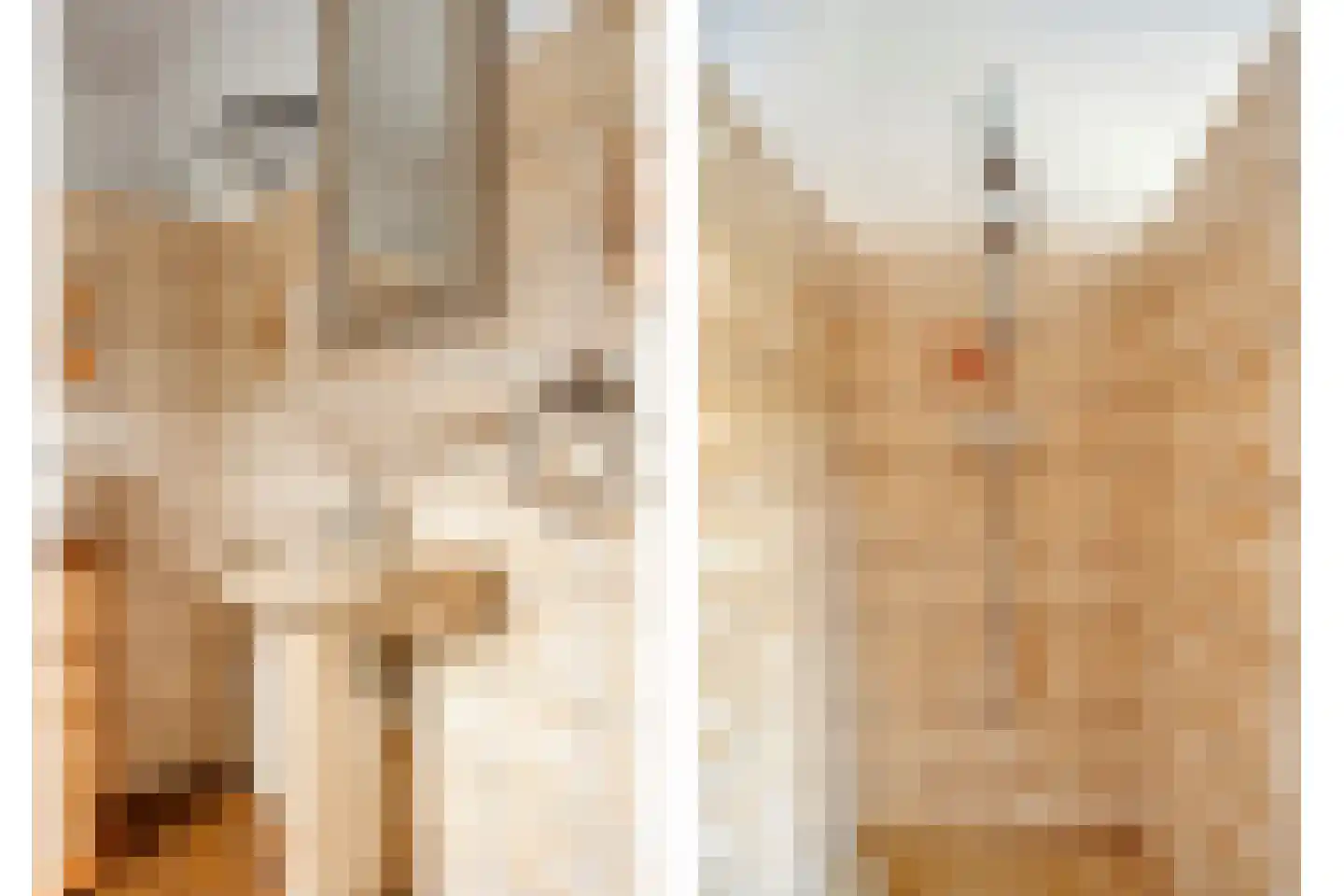 Rijksweg Noord 7 Echt thumbnail 34