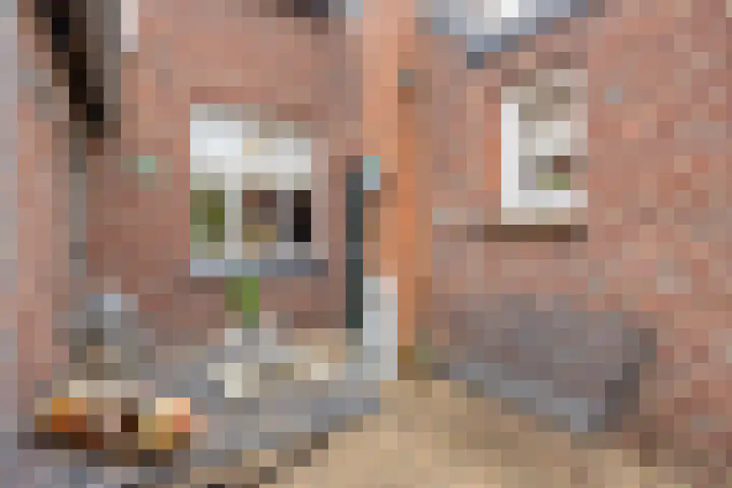 Rijksweg Noord 7 Echt thumbnail 38