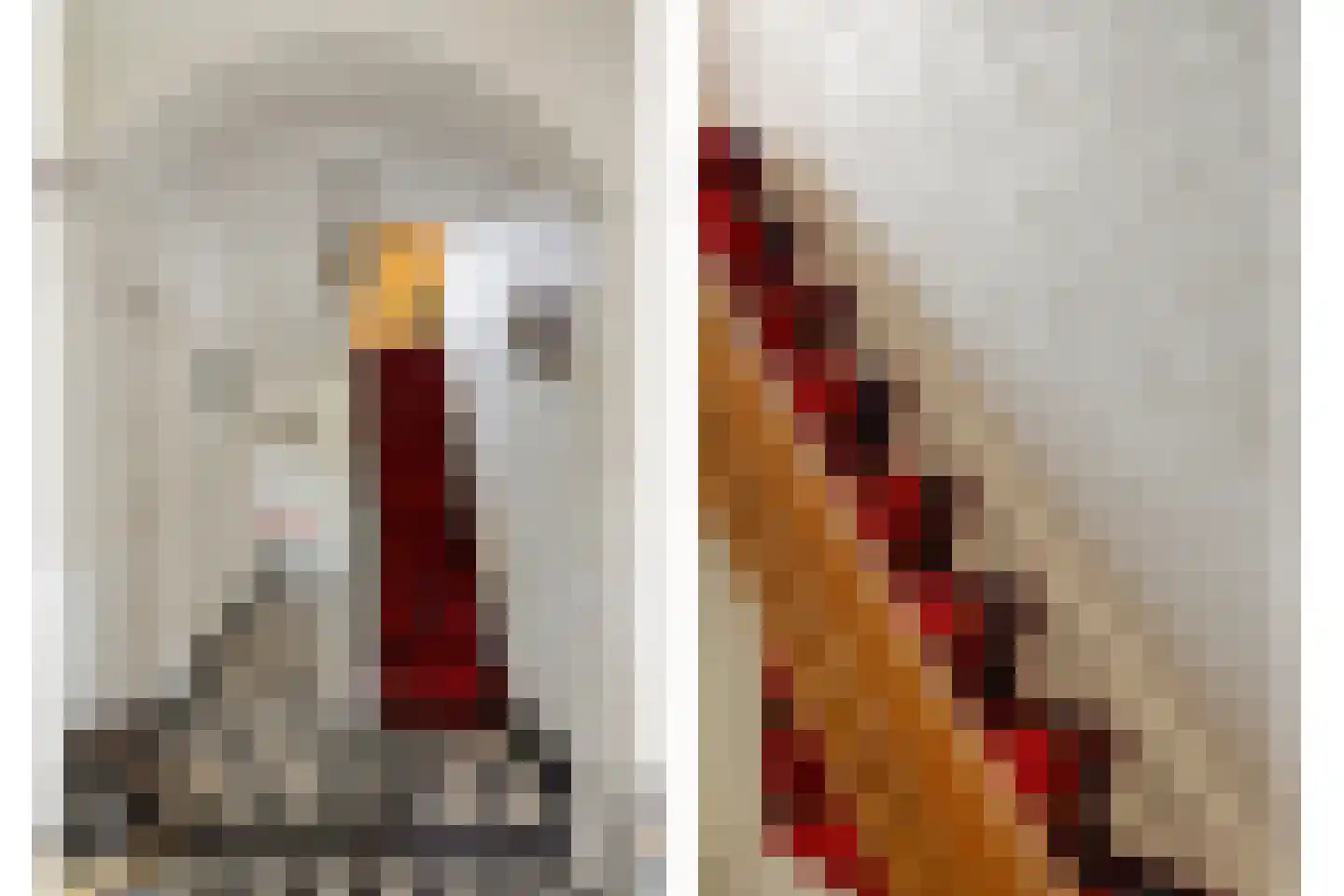 Rijksweg Noord 7 Echt thumbnail 40