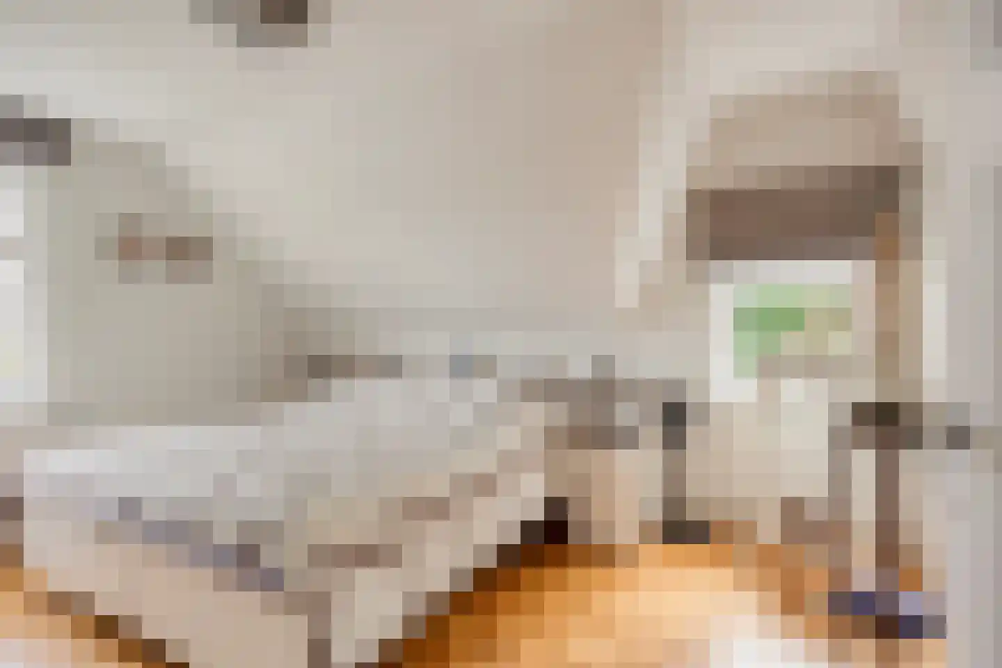 Rijksweg Noord 7 Echt thumbnail 42