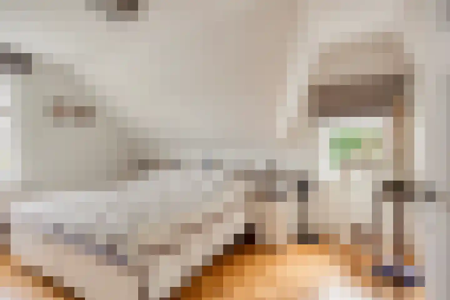 Rijksweg Noord 7 Echt thumbnail 43