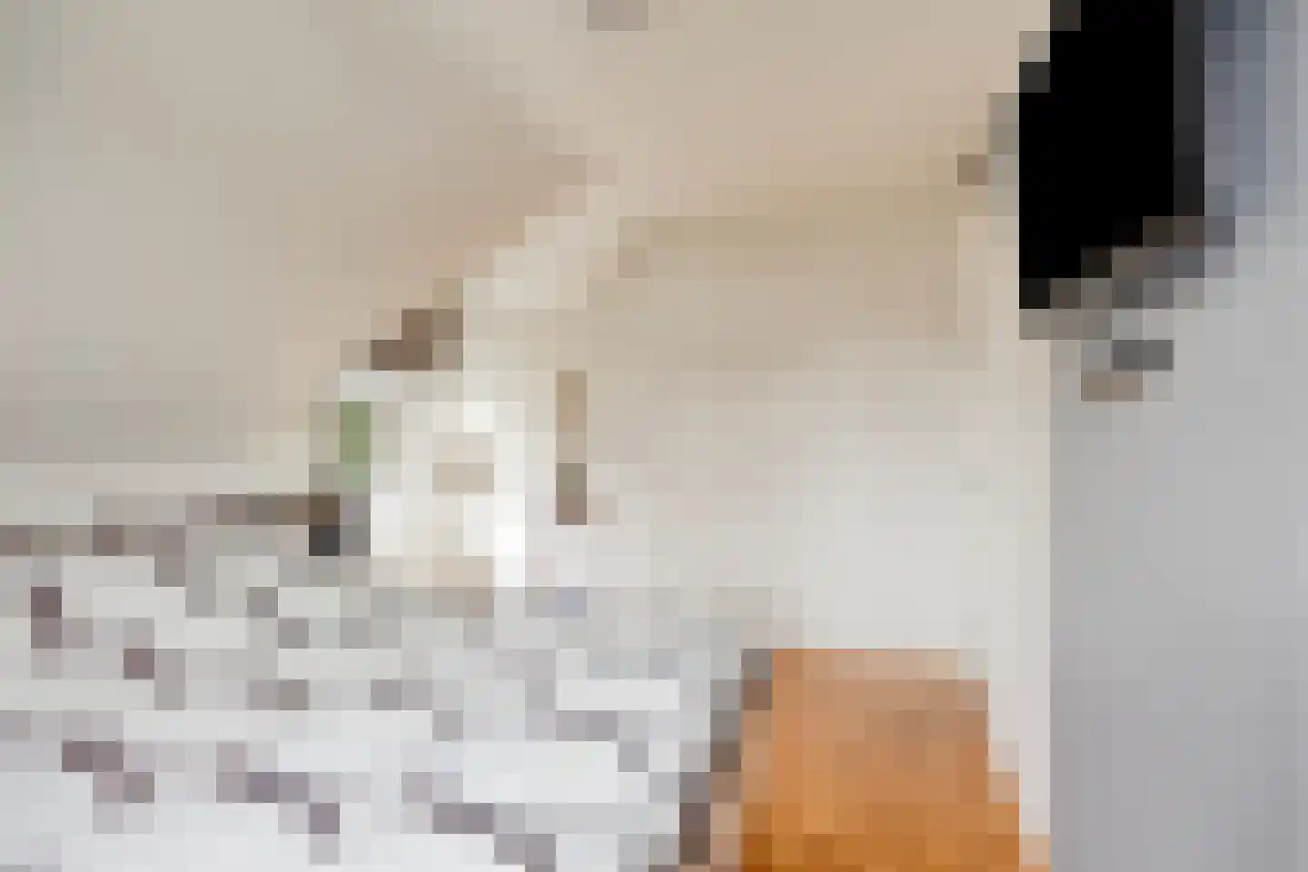 Rijksweg Noord 7 Echt thumbnail 44