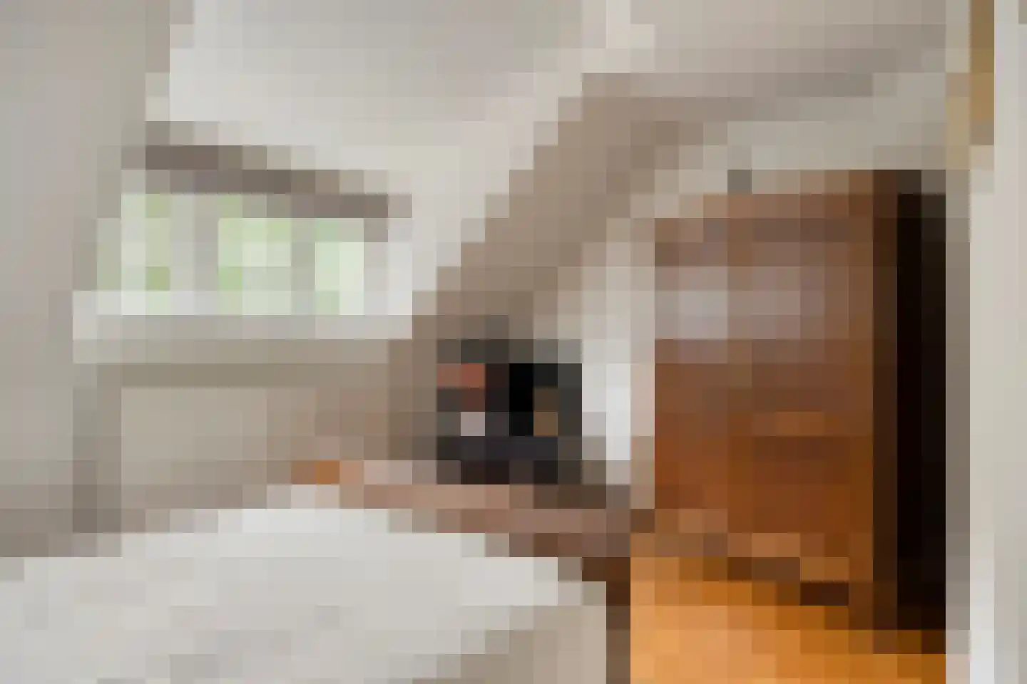 Rijksweg Noord 7 Echt thumbnail 46