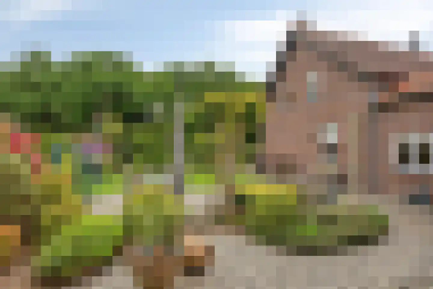 Rijksweg Noord 7 Echt thumbnail 55