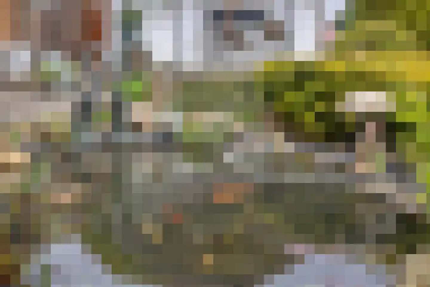 Rijksweg Noord 7 Echt thumbnail 59